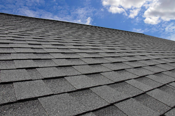 Best Roof Maintenance and Cleaning  in Woodville, OH